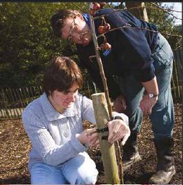 GardenWorks Horticulture Training for people with a Learning Disability